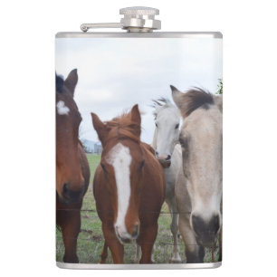 Four Different Colour Horses, Hip Flask