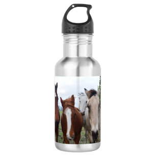 Four Different Colour Horses, Water Bottle