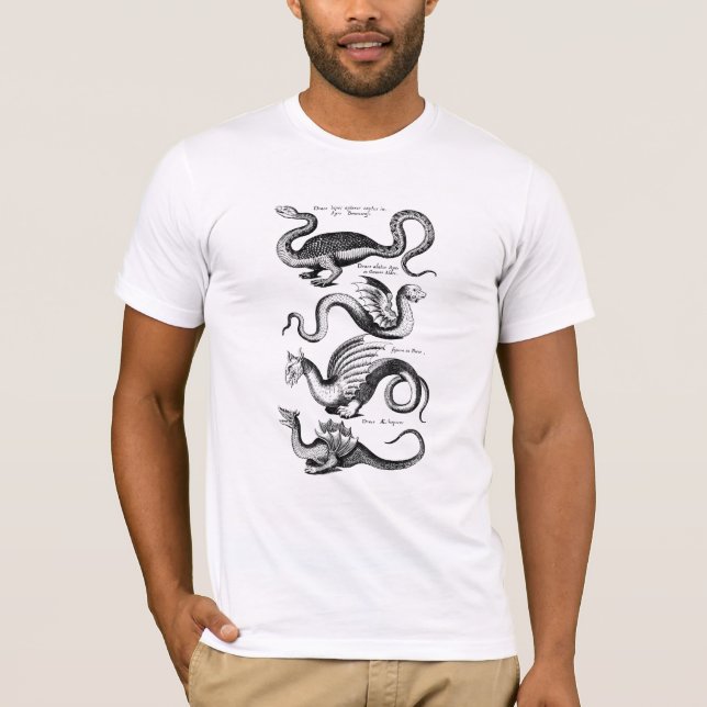 Four Dragons from Mythology T-Shirt (Front)