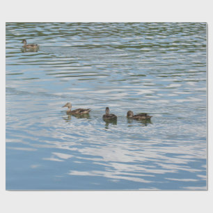 Four Ducks on the River Wrapping Paper