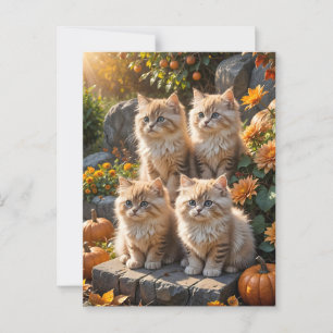 Four Fluffy Autumn Kittens with Pumpkins and Mums Postcard