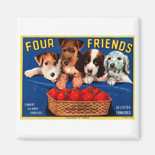 Four Friends Magnet