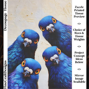 Four Funny Inquisitive Blue Pigeons Portrait FW7R Tissue Paper