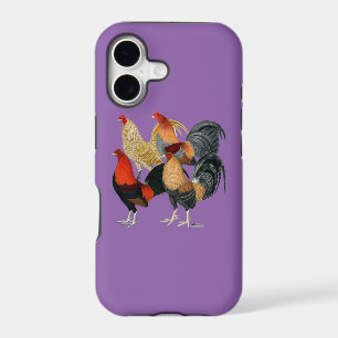 Four Gamecocks