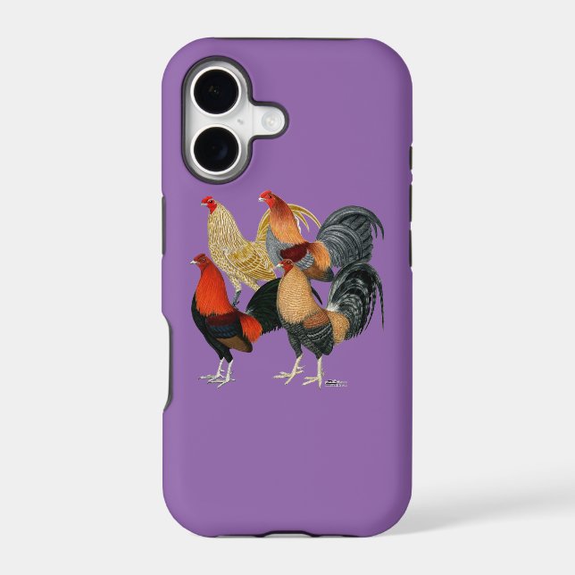 Four Gamecocks (Back)