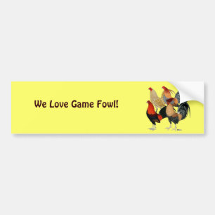 Four Gamecocks Bumper Sticker