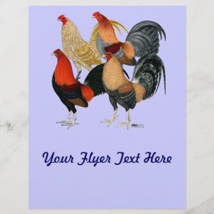 Four Gamecocks Flyer