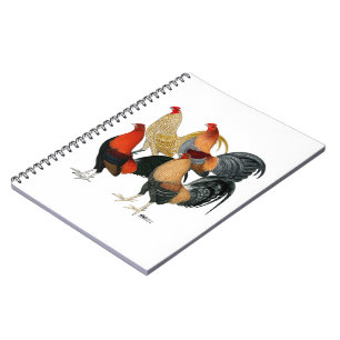 Four Gamecocks Notebook