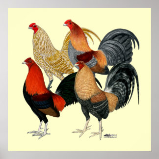 Four Gamecocks Poster