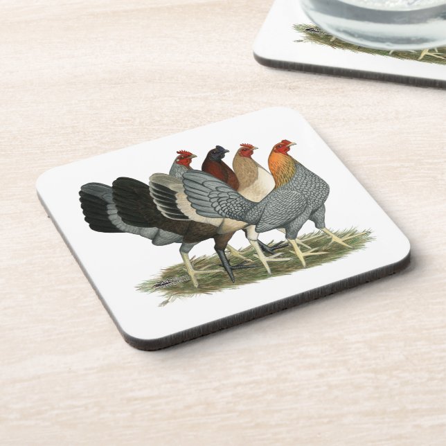 Four Gamefowl Hens Coaster (Left Side)