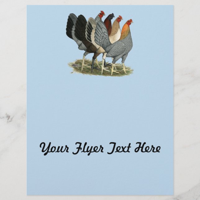 Four Gamefowl Hens Flyer (Front)