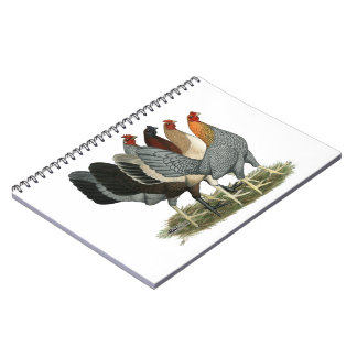 Four Gamefowl Hens Spiral Notebook
