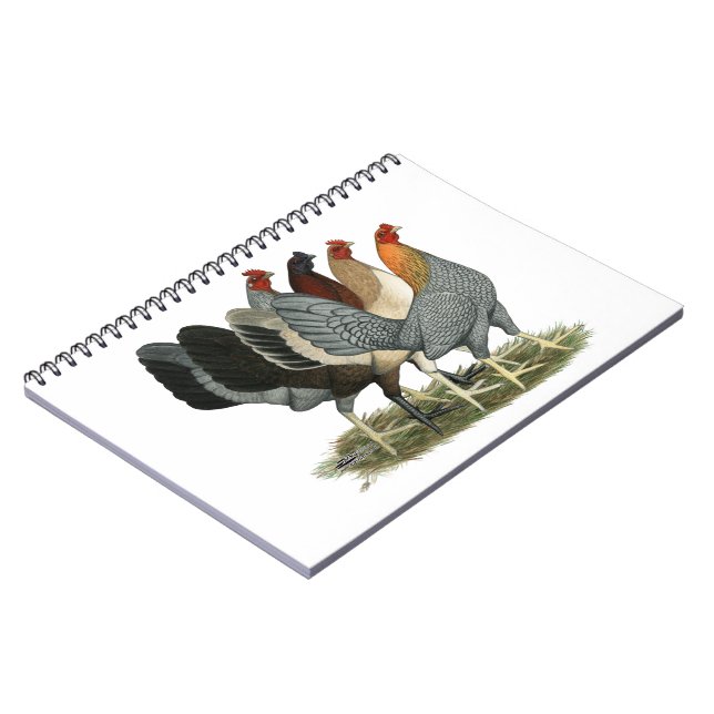 Four Gamefowl Hens Spiral Notebook (Left Side)
