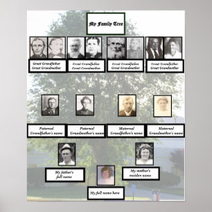 Four-Generation Chinese Elm Family Tree Photos Poster