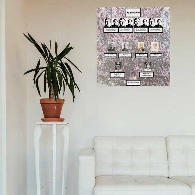 Four Generation Photos Plum Blossom Family Tree  Poster (Creator Uploaded)