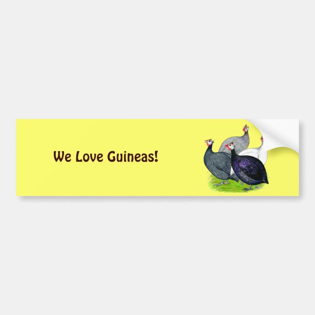 Four Guineas Bumper Sticker (Front)