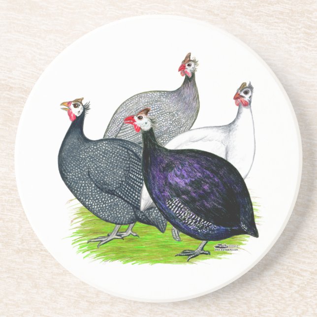 Four Guineas Coaster (Front)