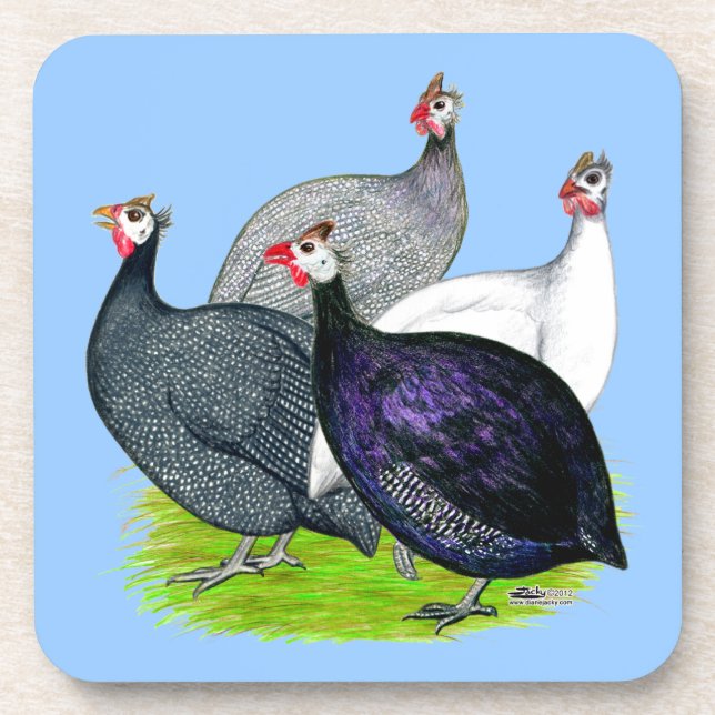 Four Guineas Coaster (Front)