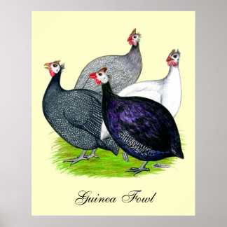 Four Guineas Poster
