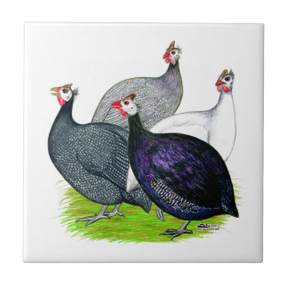 Four Guineas Tile