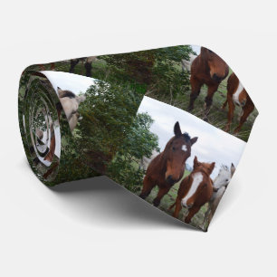 Four Horse Pals, Tie