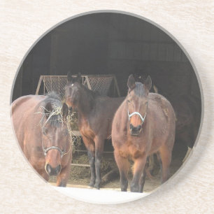 Four Horses Coaster