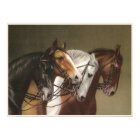 FOUR HORSES Fine Art Poster