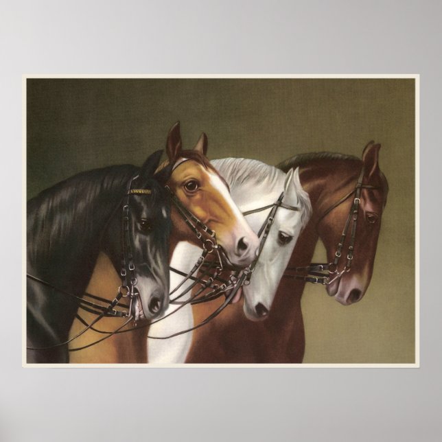 FOUR HORSES Fine Art Poster (Front)