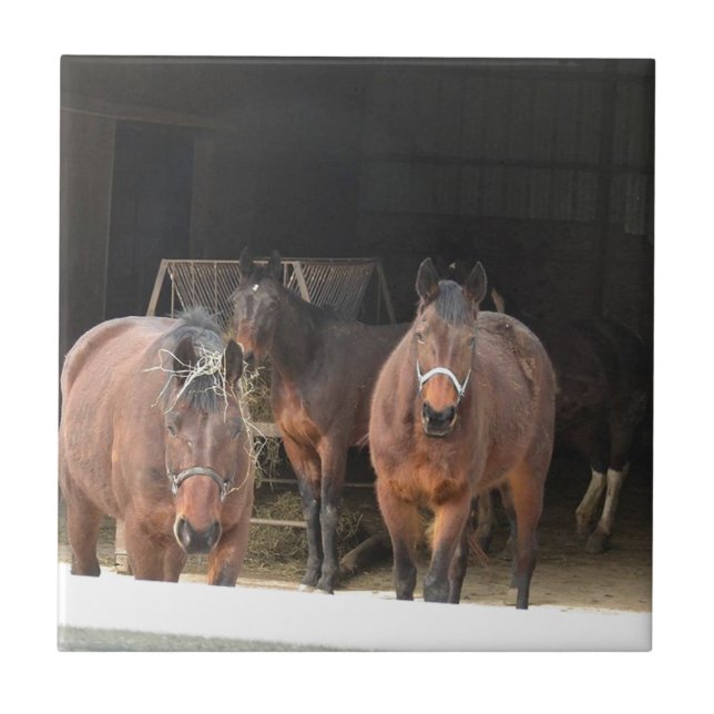 Four Horses Tile (Front)