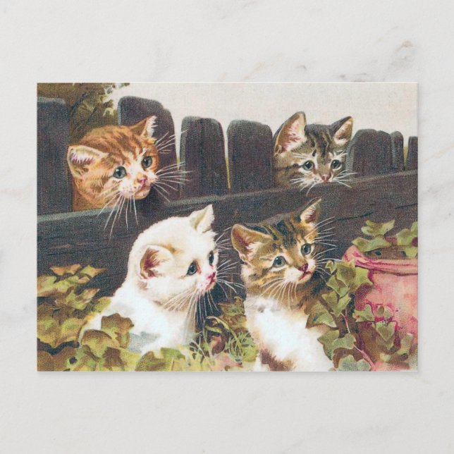 "Four Kittens" Vintage Postcard (Front)