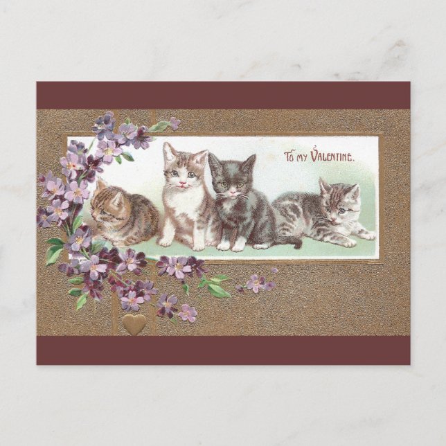 Four Kittens Vintage Valentine Holiday Postcard (Front)