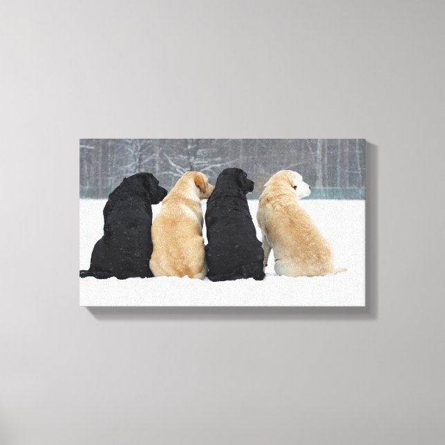 Four Labrador Dogs In Snow Canvas Print (Front)