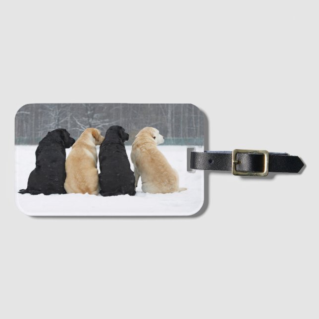 Four Labrador Dogs In Snow Luggage Tag (Front Horizontal)