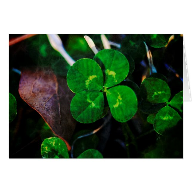 Four Leaf Clover Lucky (Front Horizontal)