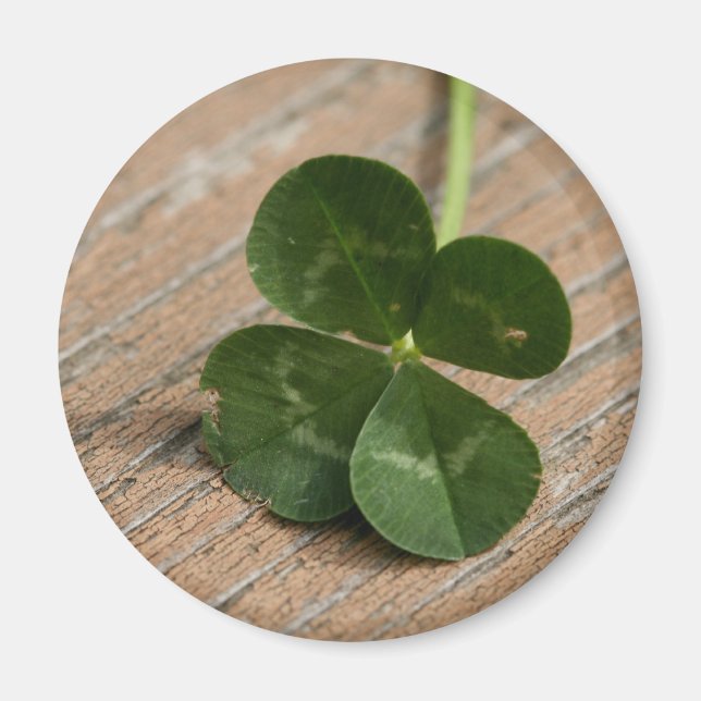 Four Leaf Clover Magnet (Front)