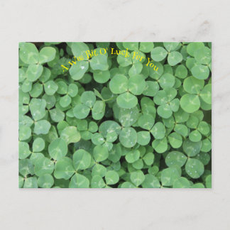 four leaf clover postcard