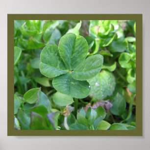 Four leaf clover poster