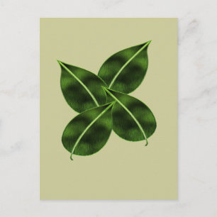 Four Leaves Posctcard Postcard