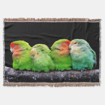 Four Little Canaries