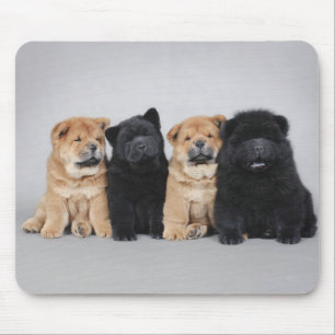 Four little Chow chow puppies Mouse Pad