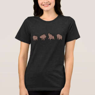Four Little Elephants Tri-Blend Shirt