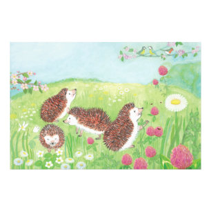 Four Little Hedgehogs in the Meadow  Photo Print