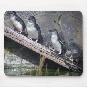Four Little Penguins Mouse Pad