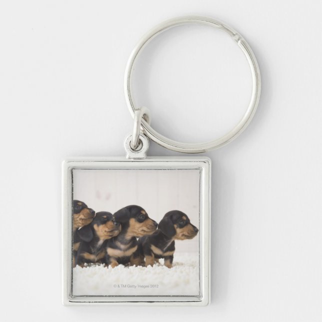 Four Mini Dachshund Key Ring (Front)