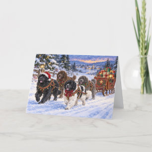 Four Newfies Pull Sleigh Filled with Gifts Card