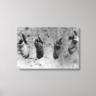 Four one-day-old ducklings pegged out of harm's canvas print