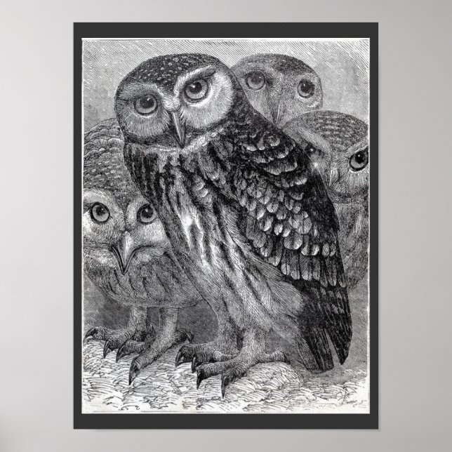 Four Owls Vintage Black and White Poster (Front)