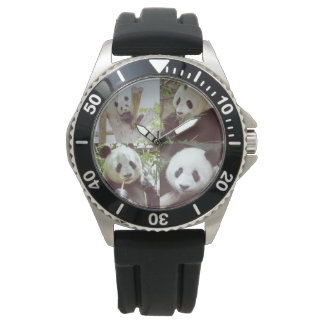 four panda images collage watch