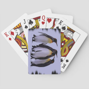 Four Penguins Playing Cards