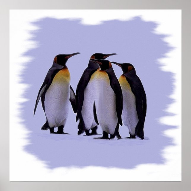 Four Penguins Poster 24X24" (Front)